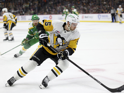 Penguins Wild Hockey
