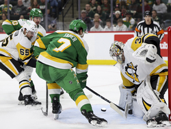 Penguins Wild Hockey