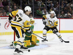 Penguins Wild Hockey