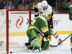 Penguins Wild Hockey