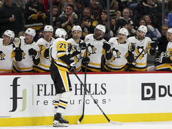 Penguins Wild Hockey