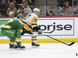 Penguins Wild Hockey