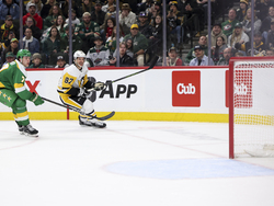 Penguins Wild Hockey