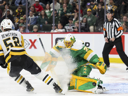Penguins Wild Hockey