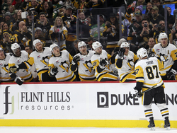 Penguins Wild Hockey