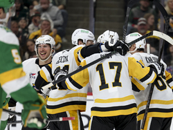 Penguins Wild Hockey