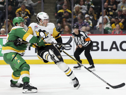 Penguins Wild Hockey