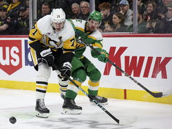 Penguins Wild Hockey