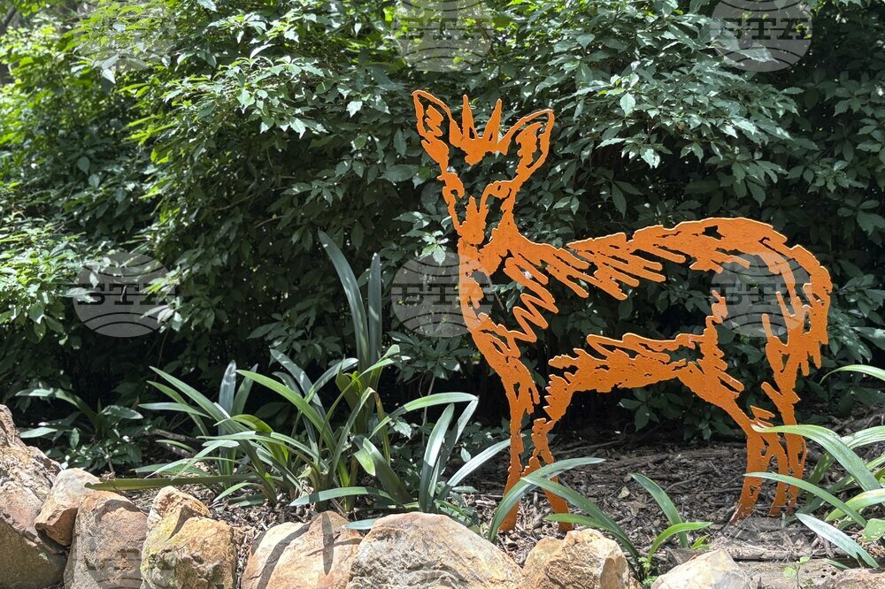 South Africa Public Art