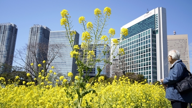 Капиталовите разходи на японските компании растат с 2,9 на сто на годишна основа през третото тримесечие