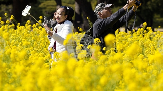 Китай налага временни мита върху вноса на канадска рапица