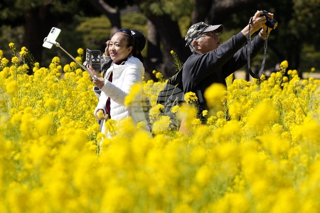 Китай налага временни мита върху вноса на канадска рапица