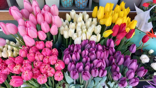 Община Стара Загора: Да са обичани и галени в своя живот обещава името на старозагорци, празнуващи днес