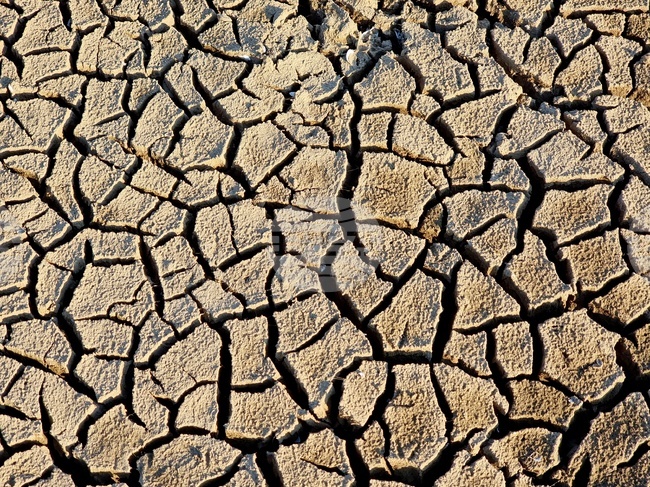 Истанбул е преживял най-сухия юни за последните 65 години, сочат данни на Турския метеорологичен институт