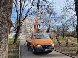 Парк "Заимов" - ремонт - парково осветление