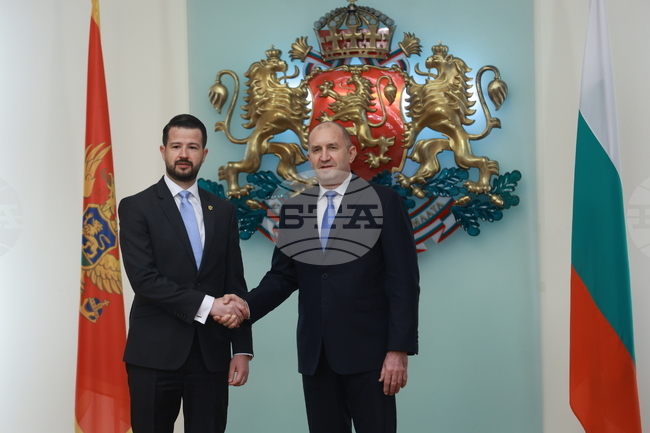 Започна срещата между президентите на България и Черна гора – Румен Радев и Яков Милатович