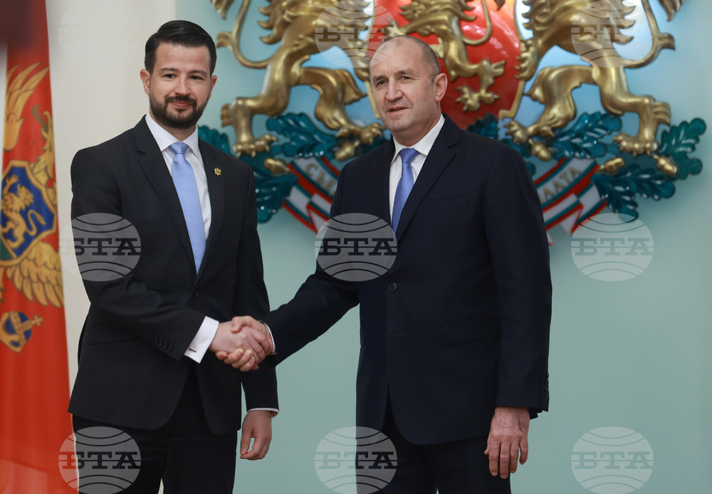 Heads of State of Bulgaria, Montenegro Meet in Sofia