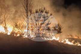 Румъния - горски пожари