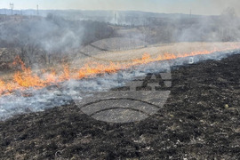 Румъния - горски пожари