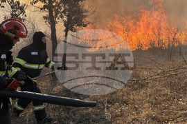 Румъния - горски пожари