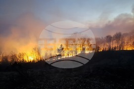 Румъния - горски пожари