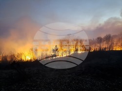 Румъния - горски пожари