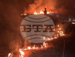 Румъния - горски пожари