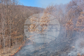 Румъния - горски пожари