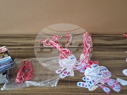 Разград - гости - проект - мобилност