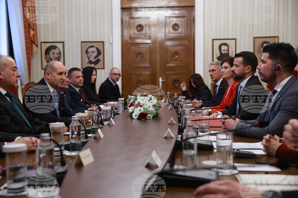 Румен Радев - Яков Милатович - пленарни разговори