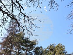 Снимка: Областна администрация Русе 