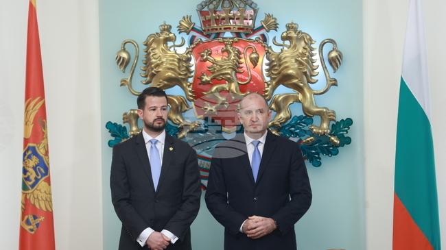 Черногорският президент Яков Милатович честити изборната победа на Румен Радев