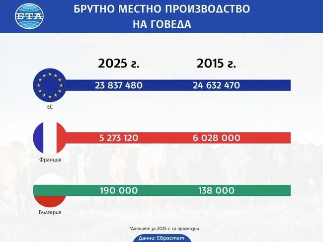 Брутно местно производство на говеда