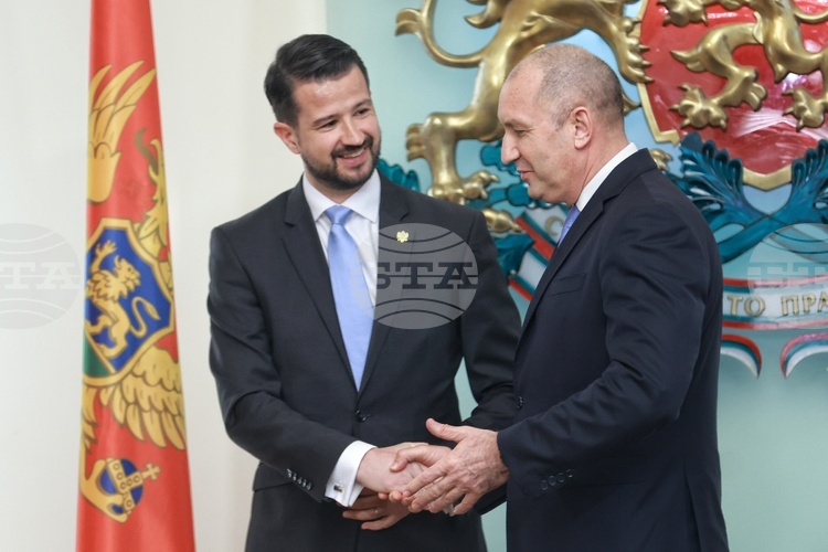 BTA :: Presidents Radev, Milatovic to Visit Novo Selo Training Area