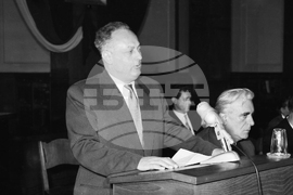 Живко Живков - политик