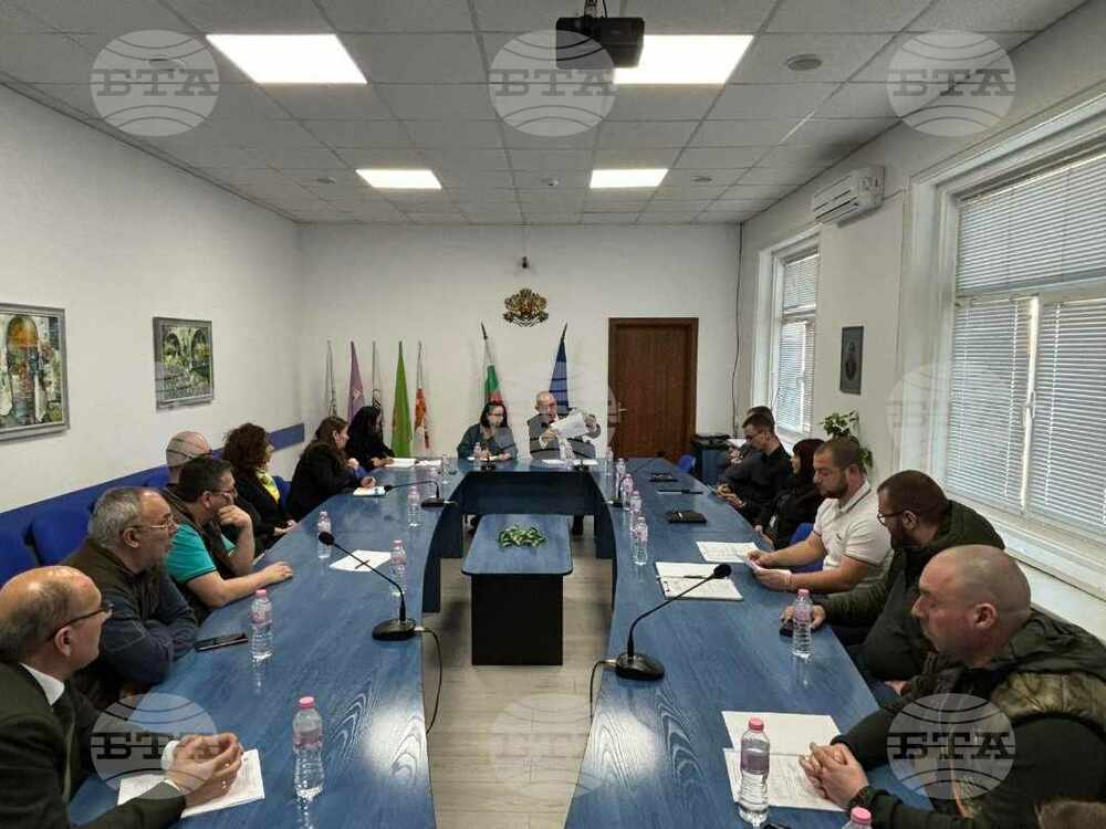 Опасни дървета и клони в близост до електропроводни линии в област Търговище ще бъдат поетапно премахнати