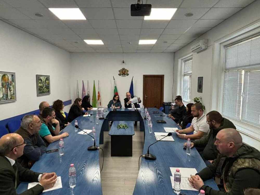 Опасни дървета и клони в близост до електропроводни линии в област Търговище ще бъдат поетапно премахнати