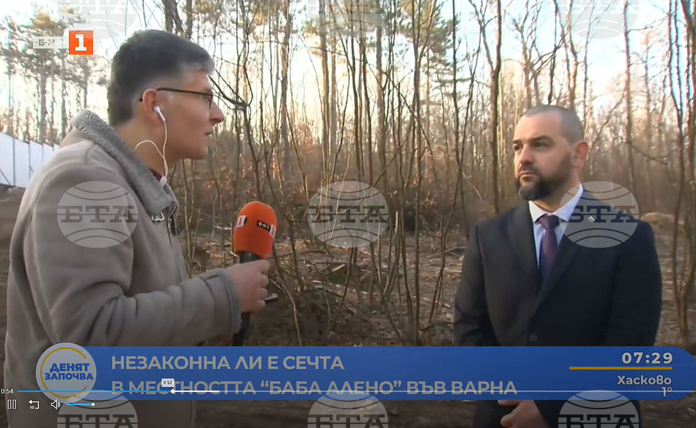 Илия Коев: Установена е незаконна сеч в местност Баба Алено, ще има последици за нарушителите