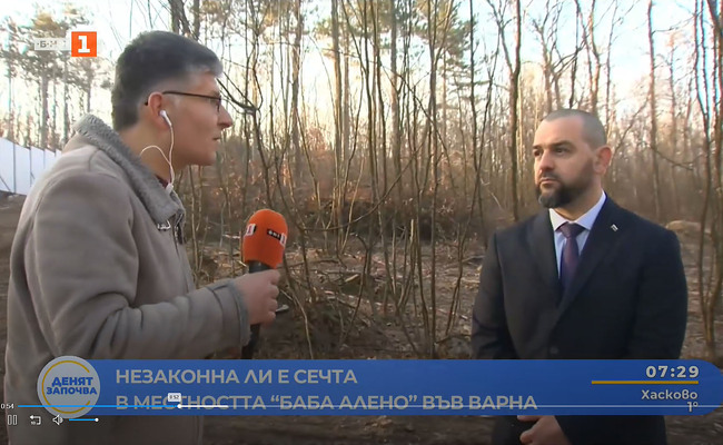 Илия Коев: Установена е незаконна сеч в местност Баба Алено, ще има последици за нарушителите