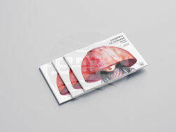 Театрална формация представя книга, създадена по спектакъл, визия –  „Сенджу“ 