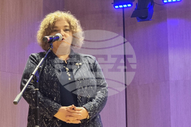 Плевен - Владимир Николов - книга - представяне