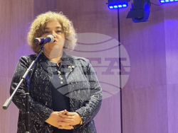 Плевен - Владимир Николов - книга - представяне