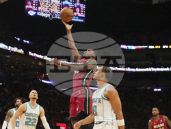 Hornets Heat Basketball