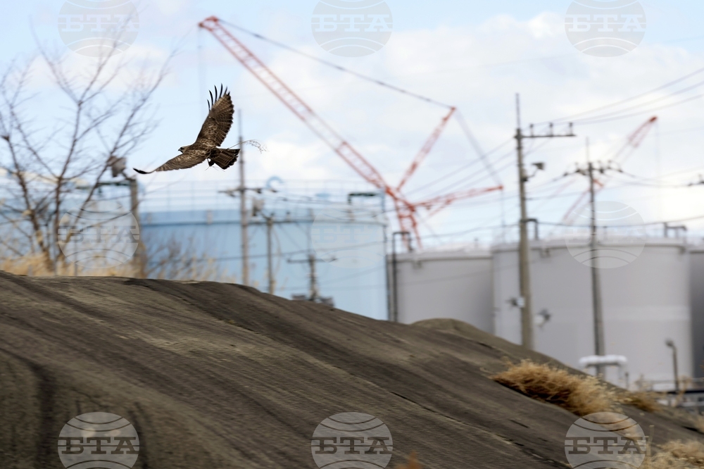 Japan Fukushima