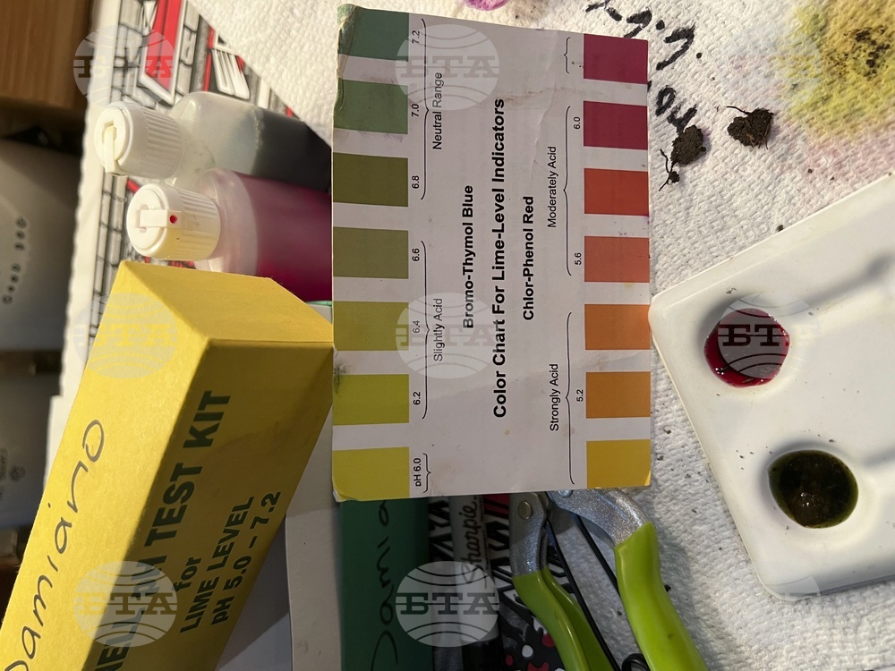 Gardening - Spring Checklist