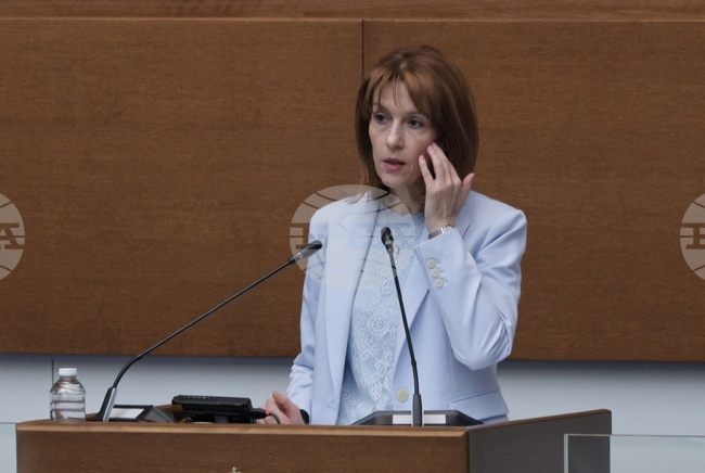 Central Election Commission Chair: Commission Cooperates Fully with Constitutional Court, Fulfills Assigned Tasks