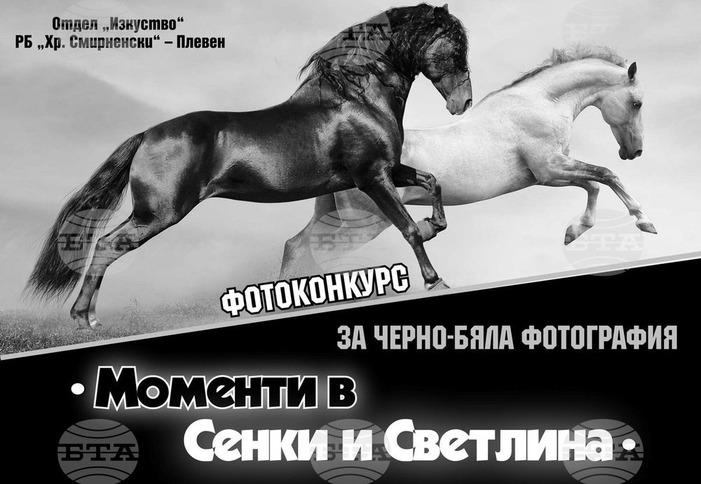Плевенската библиотека обяви конкурс за черно-бяла фотография „Моменти в сенки и светлина“
