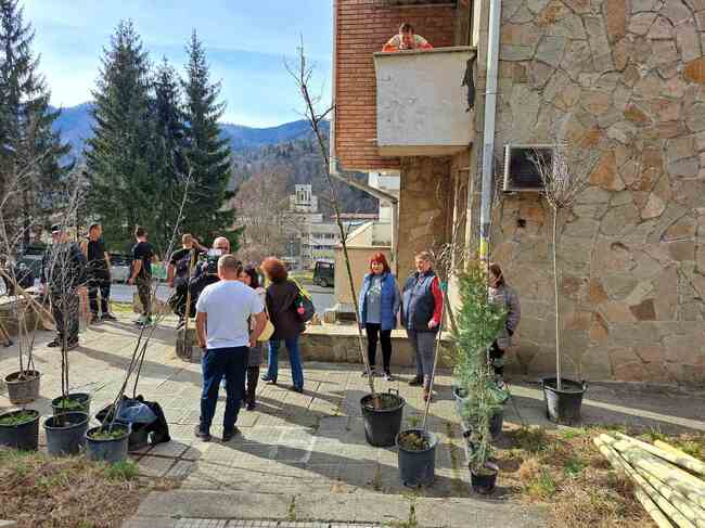 Представители на общината в Смолян залесиха мястото на изсечените дървета в междублоково пространство в центъра на града