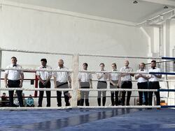 Плевен - бокс - първенство