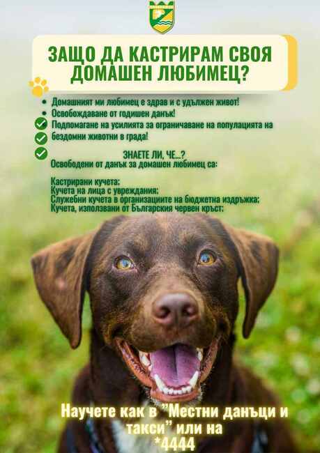 Община Пазарджик предприема още мерки в усилията си за намаляване на броя на бездомните кучета, съобщиха от местната администрация